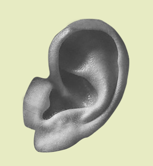 ear_BW-bg